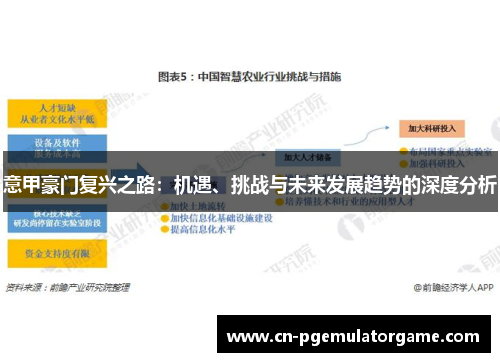 意甲豪门复兴之路：机遇、挑战与未来发展趋势的深度分析