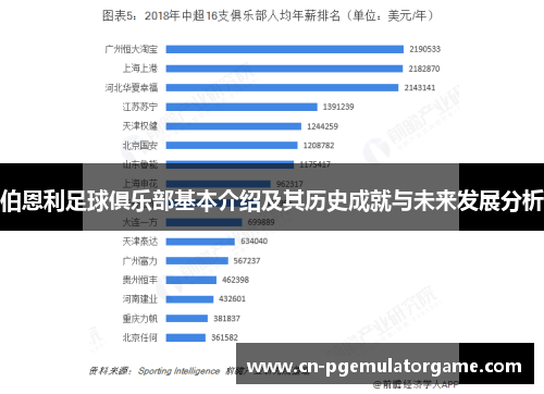伯恩利足球俱乐部基本介绍及其历史成就与未来发展分析
