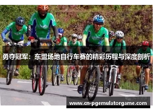 勇夺冠军：东盟场地自行车赛的精彩历程与深度剖析