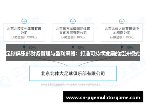 足球俱乐部财务管理与盈利策略：打造可持续发展的经济模式
