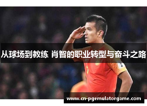 从球场到教练 肖智的职业转型与奋斗之路