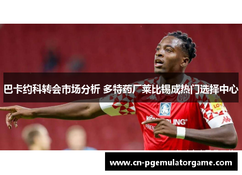 巴卡约科转会市场分析 多特药厂莱比锡成热门选择中心
