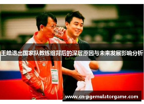 王皓退出国家队教练组背后的深层原因与未来发展影响分析