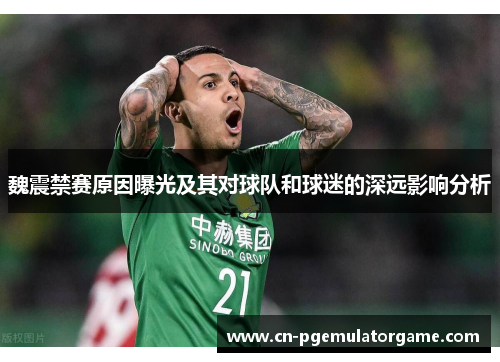 魏震禁赛原因曝光及其对球队和球迷的深远影响分析