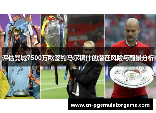 评估曼城7500万欧签约马尔穆什的潜在风险与前景分析