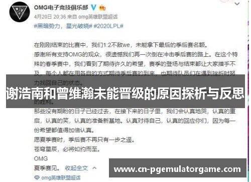 谢浩南和曾维瀚未能晋级的原因探析与反思