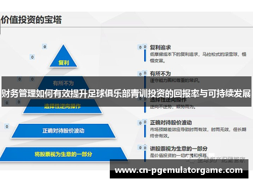 财务管理如何有效提升足球俱乐部青训投资的回报率与可持续发展