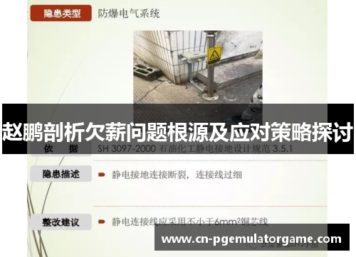 赵鹏剖析欠薪问题根源及应对策略探讨