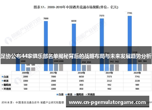 足协公布44家俱乐部名单揭秘背后的战略布局与未来发展趋势分析 足协公布44家俱乐部名单揭秘背后的战略布局与未来发展趋势分析