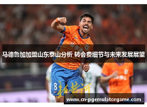 马德鲁加加盟山东泰山分析 转会费细节与未来发展展望