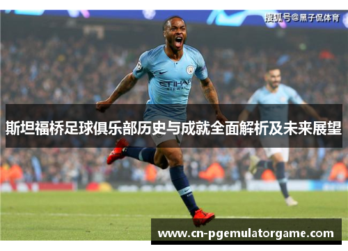 斯坦福桥足球俱乐部历史与成就全面解析及未来展望