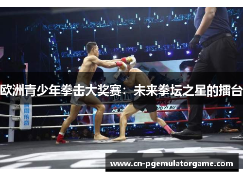 欧洲青少年拳击大奖赛：未来拳坛之星的擂台