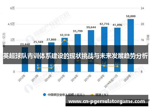 英超球队青训体系建设的现状挑战与未来发展趋势分析