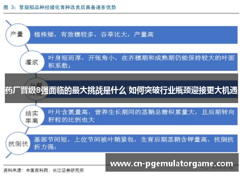 药厂晋级8强面临的最大挑战是什么 如何突破行业瓶颈迎接更大机遇