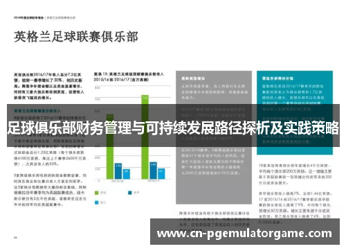 足球俱乐部财务管理与可持续发展路径探析及实践策略