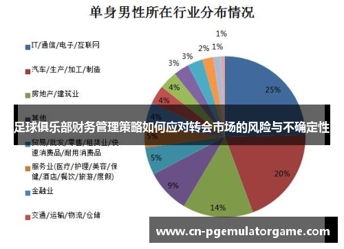 足球俱乐部财务管理策略如何应对转会市场的风险与不确定性